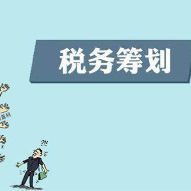 稅務(wù)籌劃(藍敏稅務(wù)游戲的經(jīng)營規(guī)則：做懂稅務(wù)的管理者^^^稅務(wù)稽查應(yīng)對與)