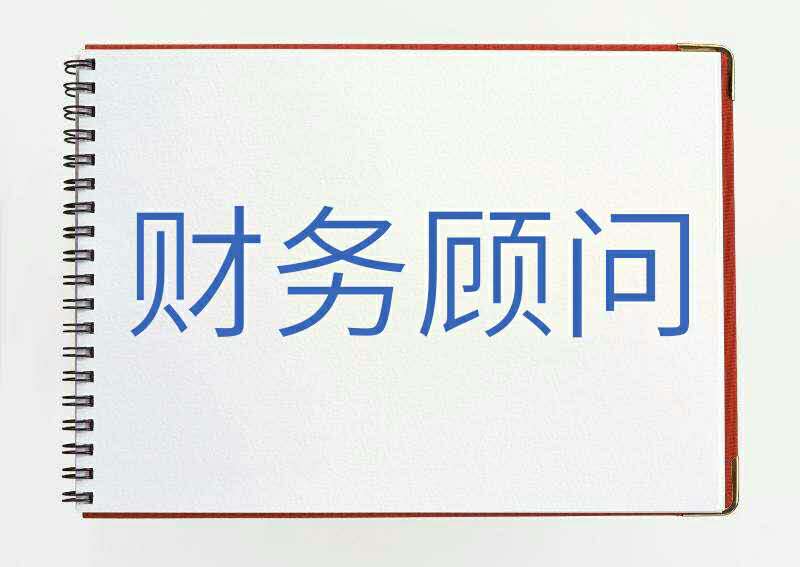 財(cái)務(wù)顧問公司(實(shí)施顧問可以轉(zhuǎn)財(cái)務(wù)嗎)