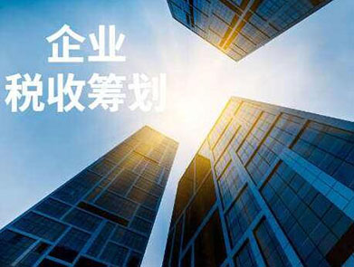 納稅籌劃的概念(企業(yè)納稅實務(wù)與籌劃)