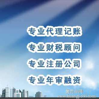 常年財務顧問的基本業(yè)務檔案